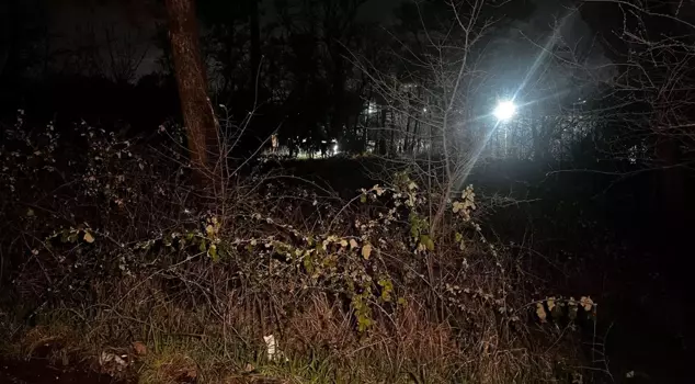 A male corpse was found in a wooded area in Arnavutköy.