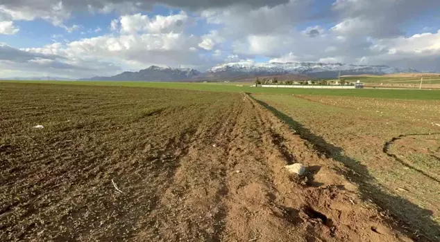 The body of a 3-day-old baby was found in Şırnak.