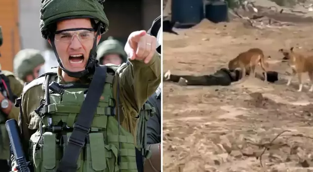 The end of words! Israeli soldiers fed a Palestinian they killed to wild dogs.