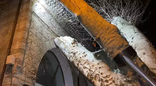 The 550-year-old plane tree fell on the İshakpaşa Mosque.