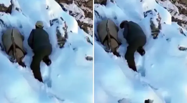 The poacher pretended to be a mountain goat to avoid being caught.