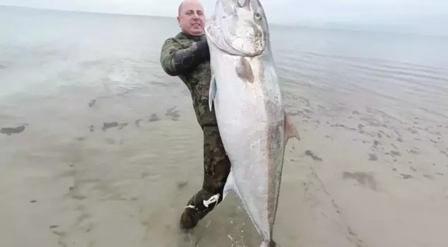 He caught a 1.8-meter-long barracuda with a spear.