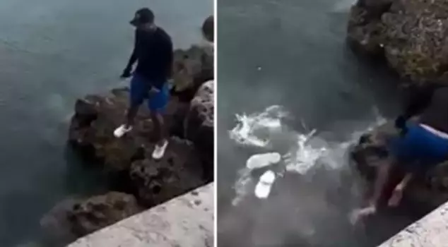 While taking a photo, the fisherman narrowly escaped death as a shark fell on him.