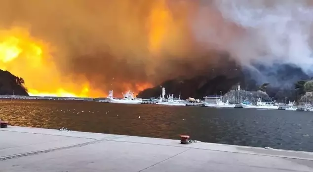 Forest fire in Japan: 1 person has died.