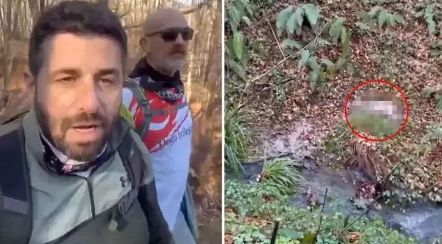 A shocking incident in Belgrad Forest! They tore it apart before the citizens could arrive.