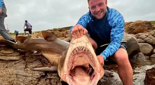 The shark's terrible revenge on the fisherman who caught it.