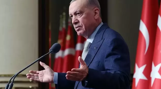 After the death of 2-year-old Rana, Erdoğan's message regarding street animals.