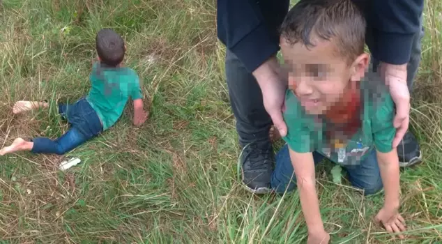 Stray dogs attacked a 5-year-old child! The footage is horrifying.