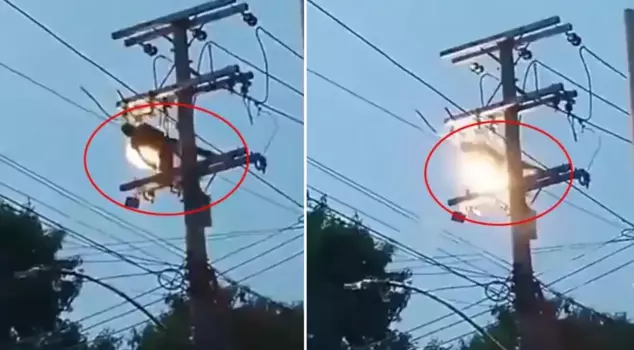 The thief who wanted to steal the cable was electrocuted.