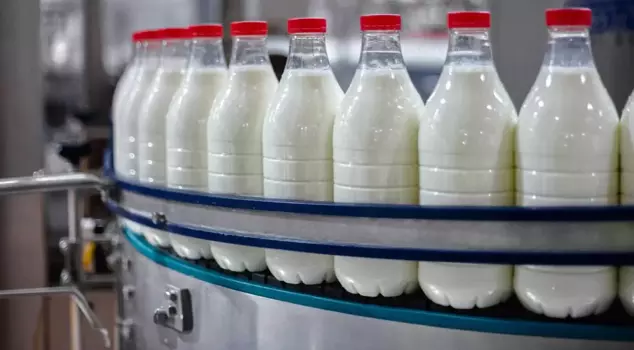 Turkey's 40-year-old dairy giant has declared bankruptcy protection.