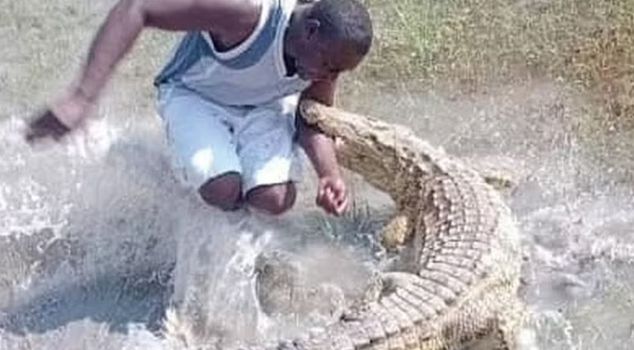The caregiver's comfort ended in disaster! The crocodile's single move was enough.