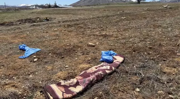 A 72-year-old man was killed by stray street dogs.