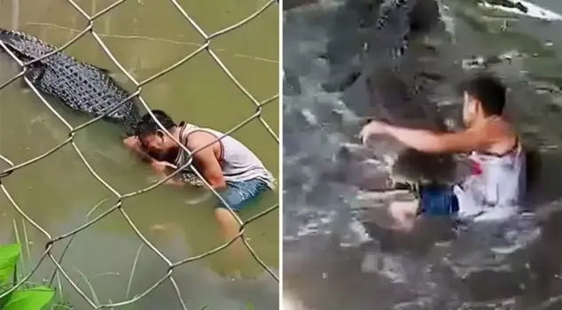 The tourist who was attacked by a real crocodile in the sculpture park was seriously injured.