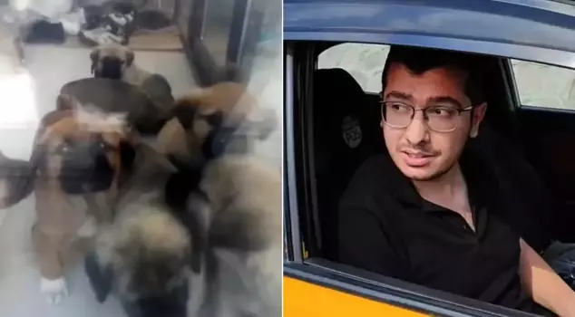 The number of dogs he has torn apart and killed has reached 26! The doctor blamed the police in his defense.
