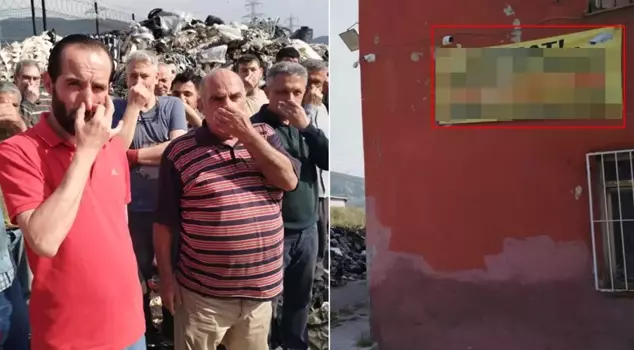 Вот перевод на русский язык:

