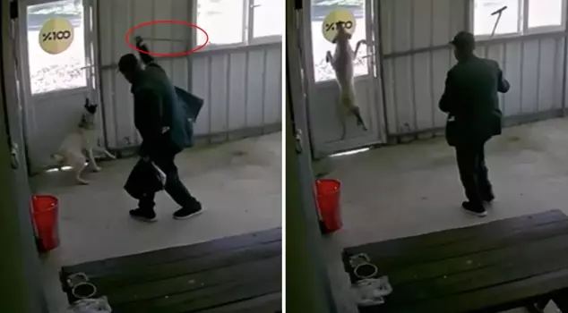 The 81-year-old man brutally beat his dog with a cane.
