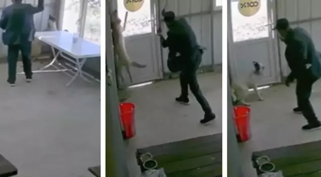 The 81-year-old man brought terror to the dog being cared for at the village coffeehouse.