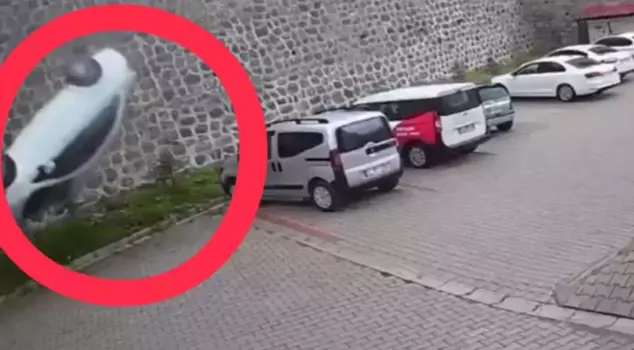 A driver died after their car fell from a retaining wall into the site garden in Ordu.
