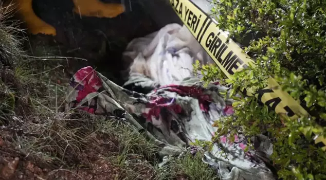 The food-seeking bear raided the cemetery! It vandalized the grave and pulled the corpse out of the tomb.