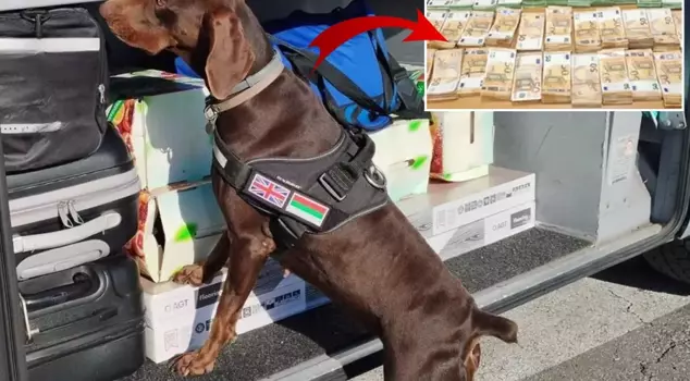 The 15 million lira hidden in the truck could not escape the detection of the sniffer dog.
