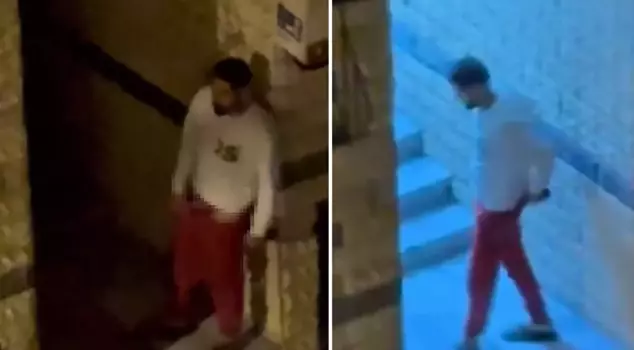 Bu metni Arapça'ya şu şekilde çevirebiliriz:

