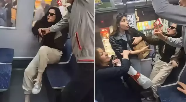 ترجمة الجملة إلى العربية هي: 
