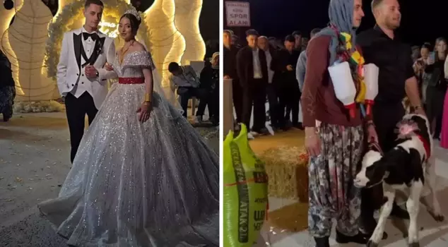 The groom waited helplessly; what was worn at the wedding shocked everyone.