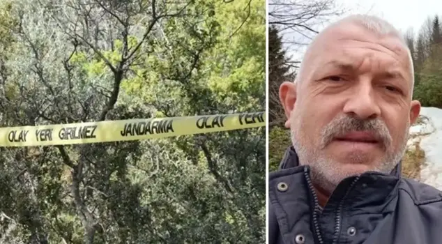 The tree he cut down was the end.