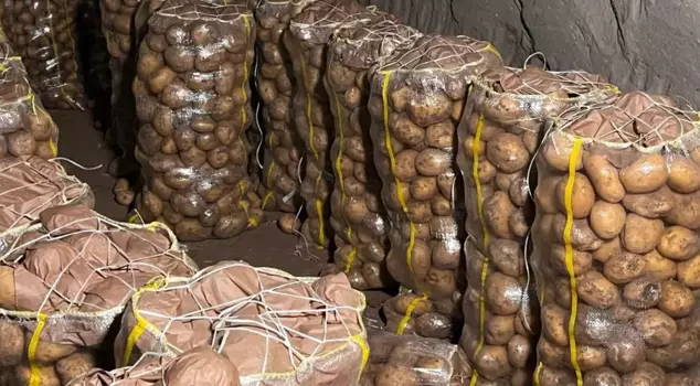 More than 2,000 tons of potatoes imported from abroad tested positive for viruses.
