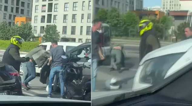 The situation got really chaotic! They rolled on the ground in the flowing traffic.