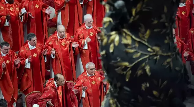 White smoke was seen in the Vatican, a new pope has been elected.