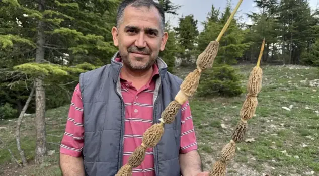 The total is a passion, the price is 900 lira per kilo! Those who find gold are not this happy.
