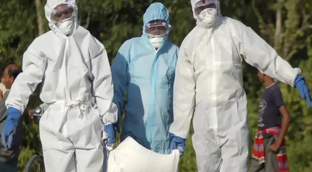 Zoos in India have been closed due to bird flu.