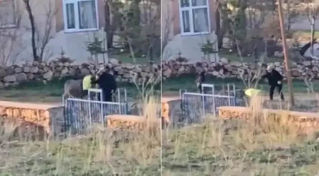 الرجل البالغ من العمر 80 عامًا ضرب الحمار بالعصا فمات.
