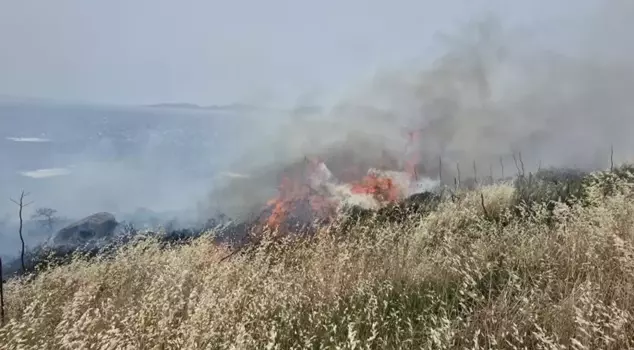 A 5-hectare area in Bodrum has turned to ashes.