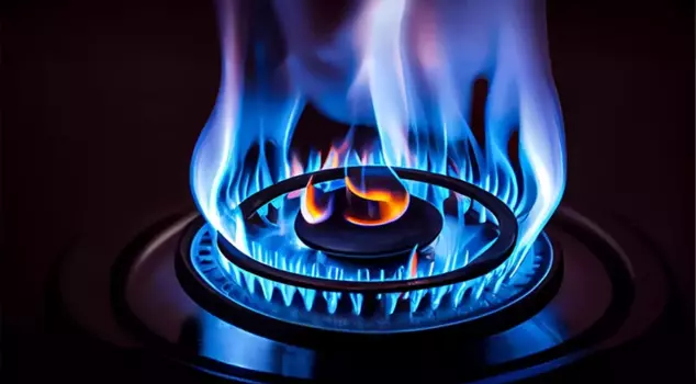 President Erdoğan: We have discovered 30 billion dollars worth of natural gas in Göktepe-3.