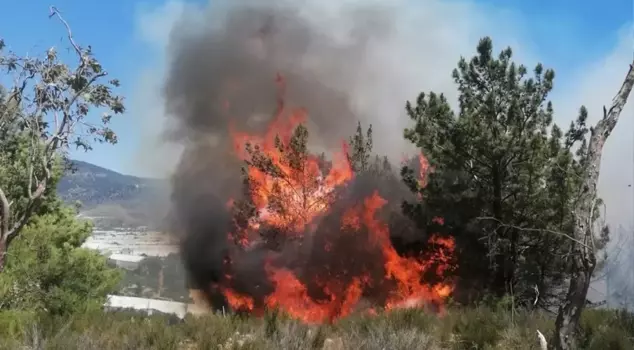 Three fires broke out simultaneously in Mersin! An investigation has been initiated.