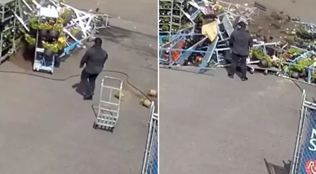 The storm devastated the florist, and all the shelves collapsed.