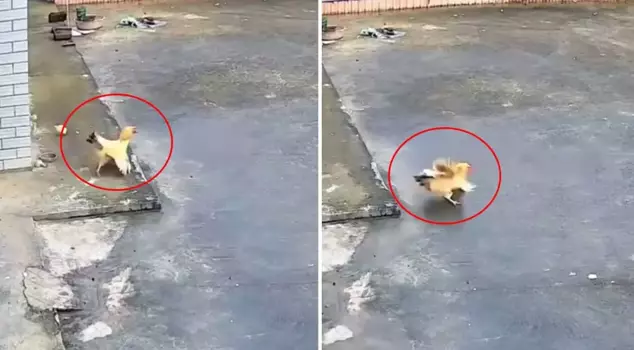 The image reflected in the cameras was mesmerizing: I wish every mother were like this.