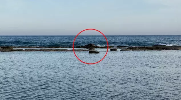 The sight of a cow carcass in the middle of the sea in Antalya shocked onlookers.
