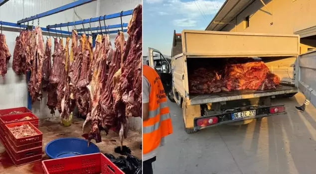 They were going to feed all of it to the citizens! A total of 3 tons of spoiled equine meat was seized.
