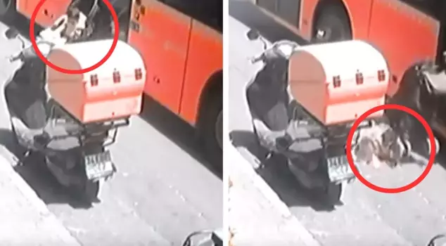 The driver's negligence was causing a disaster! The stroller got stuck in the door, and the child fell to the ground.