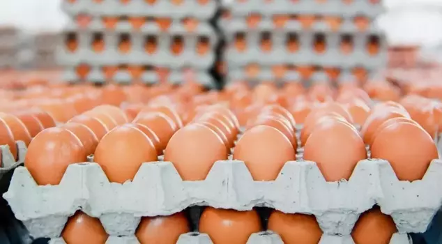 The production cost of eggs decreased while the market prices remained stable.