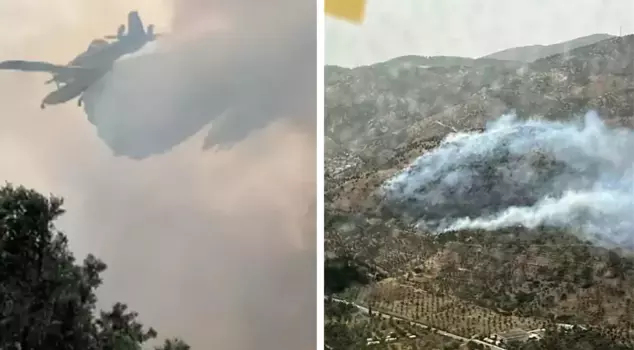 Fire in an olive grove in İzmir! It has been brought under control.
