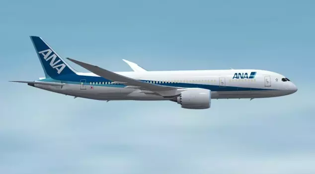 The passenger tried to open the emergency exit door while the plane was in the air.