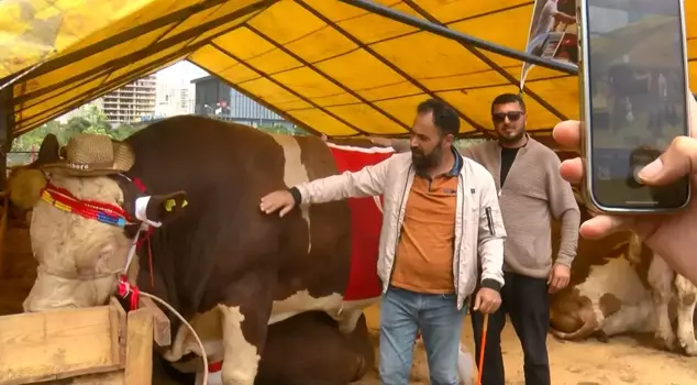 He decided not to sell the champion calf: I will gift it to the President.