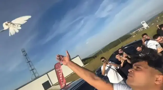 تم الإفراج عن الرابر سليمان بوراكدور، وكانت أولى خطواته إطلاق الحمام.