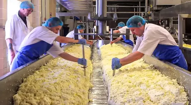 A 70-year-old food giant has filed for bankruptcy protection.