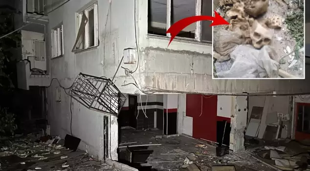 In the abandoned building, skulls and bones belonging to three individuals were found.