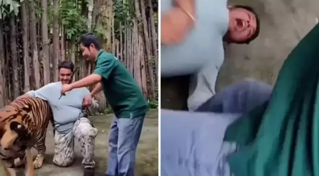 The man who wanted to take a selfie with a tiger was seriously injured in the attack.